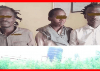 Mambichwa Ni Noma"- 3 Arrested Cultivating Bhang Worth 15 Million;Tells Police It's Legal To Plant Weed