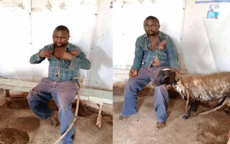 LIMURU: Man Caught Having Sex With A Sheep