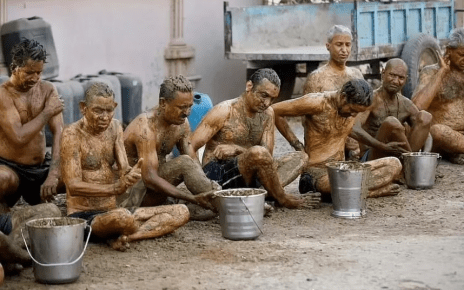 Doctors Warn Against Using Cow Dung as a Cure for Covid Citing "Health Risks"