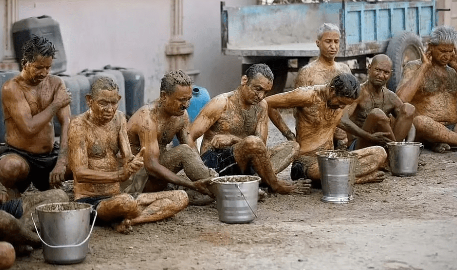 Doctors Warn Against Using Cow Dung as a Cure for Covid Citing "Health Risks"