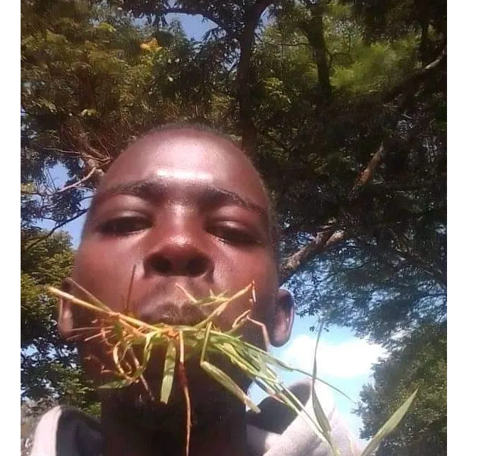 BRIAN KIBET, JKUAT student who was arrested after Trespassing State House shares photos eating grass says he is mad
