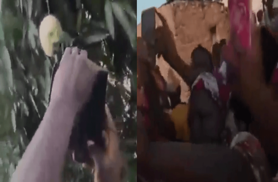 DRAMA in Kitui,Mango with a human face spotted – (VIDEO) Ogopa Wakanesa.