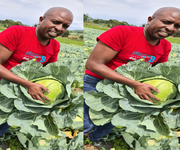 Kameme FM Presenter Katta Side Hustle That Ended in Tears