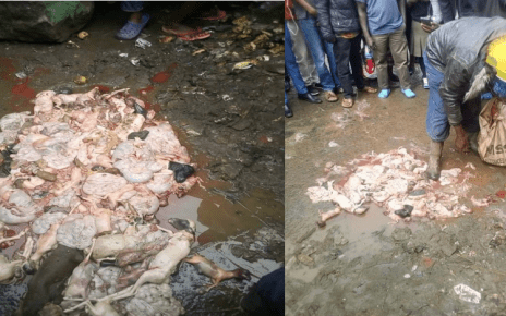 Drama in Kayole as Mutura seller is caught carrying nyama 'soft soft'