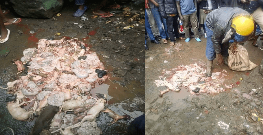 Drama in Kayole as Mutura seller is caught carrying nyama 'soft soft'