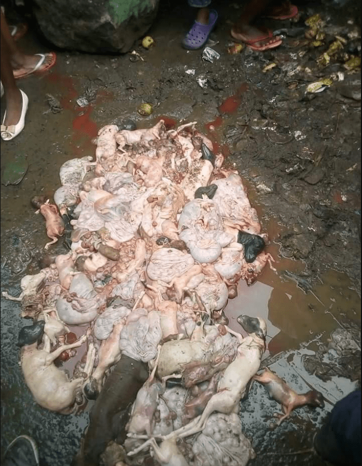 Drama in Kayole as Mutula seller caught carrying nyama 'soft soft'