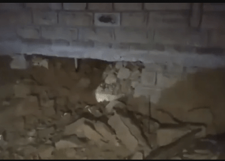 Is it because of LILIAN? They have bombed my house in Lukenya under instructions from ALFRED MUTUA (See VIDEO)