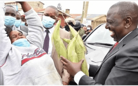 Ruto Shortchanged Me - Viral Woman Who Sold Roasted Maize to DP