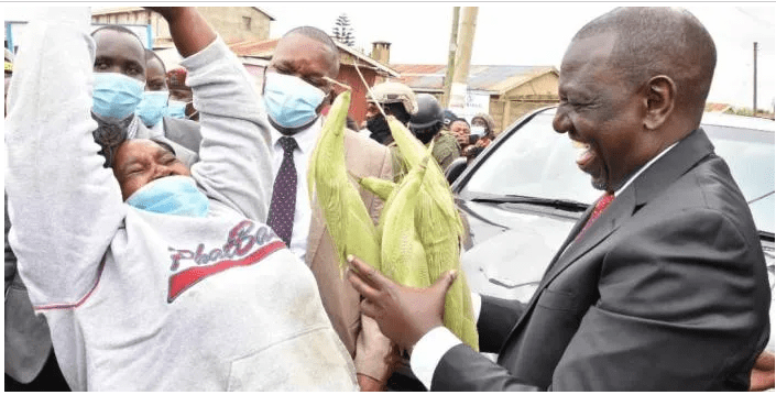 Ruto Shortchanged Me - Viral Woman Who Sold Roasted Maize to DP
