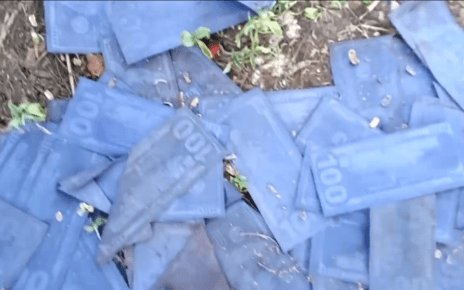 Thousands of dollars found dumped in Ngong Forest (VIDEO)- WASH WASH Cartels