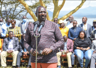 See how DP RUTO plans to use avocados to clear all Chinese loans that UHURU has taken – This is pure genius!