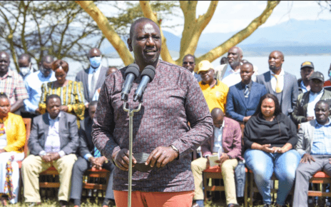 See how DP RUTO plans to use avocados to clear all Chinese loans that UHURU has taken – This is pure genius!