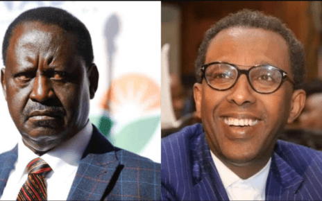 This Shopping Bag Was Minding Its Business, Then Meru Villagers Called KWS Over A ‘Lion’