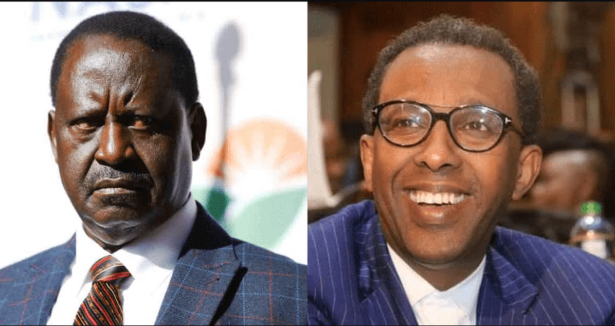 This Shopping Bag Was Minding Its Business, Then Meru Villagers Called KWS Over A ‘Lion’